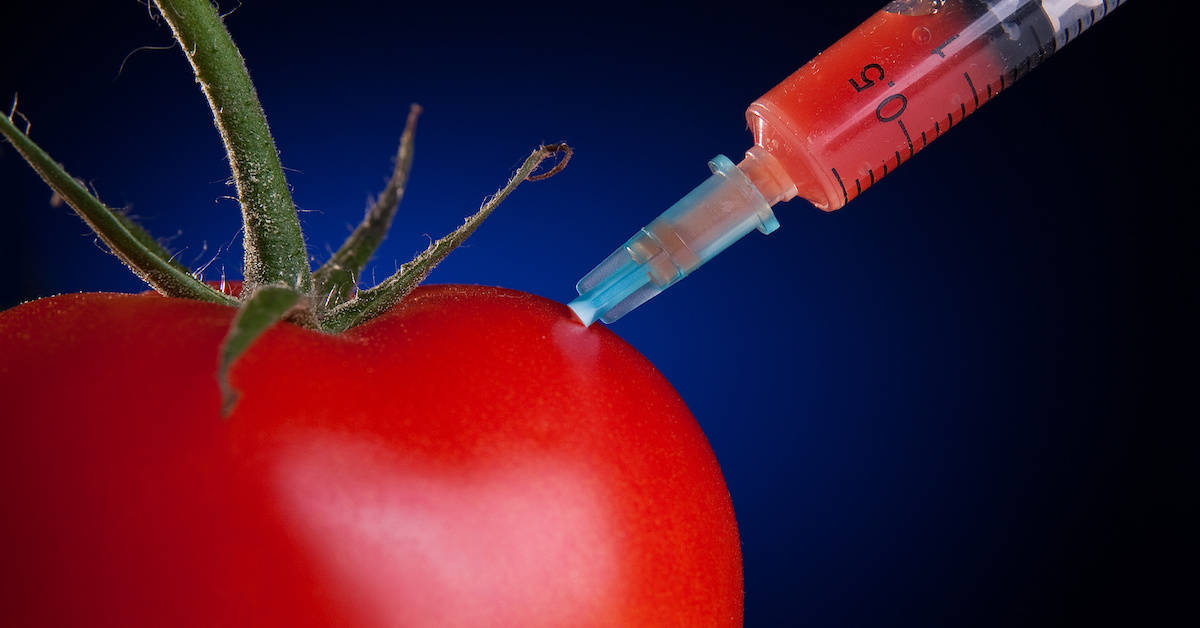 Edible Vaccines Are Shaping up as a Modified Version of the Hunger ...